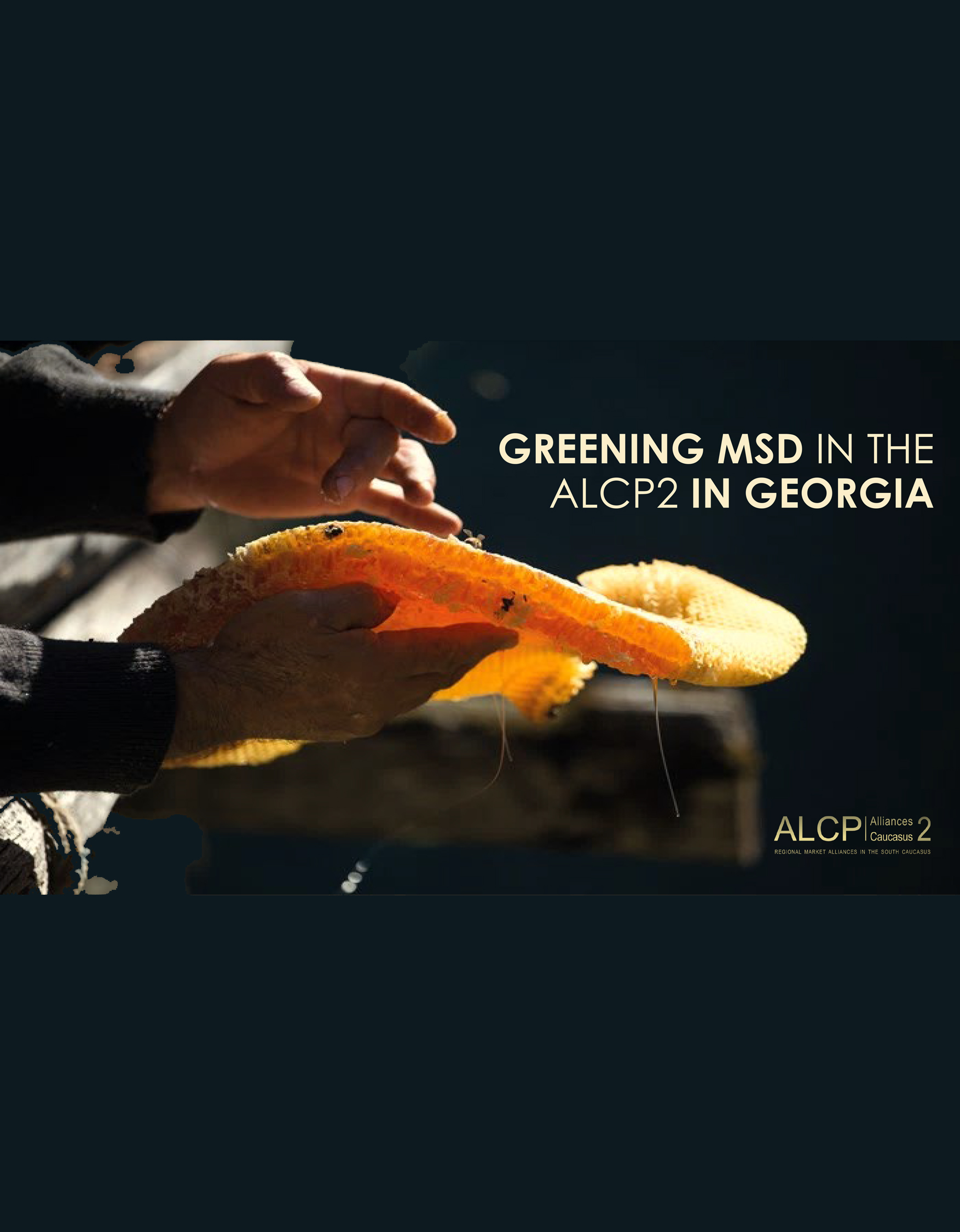 Greening MSD in the ALCP in Georgia